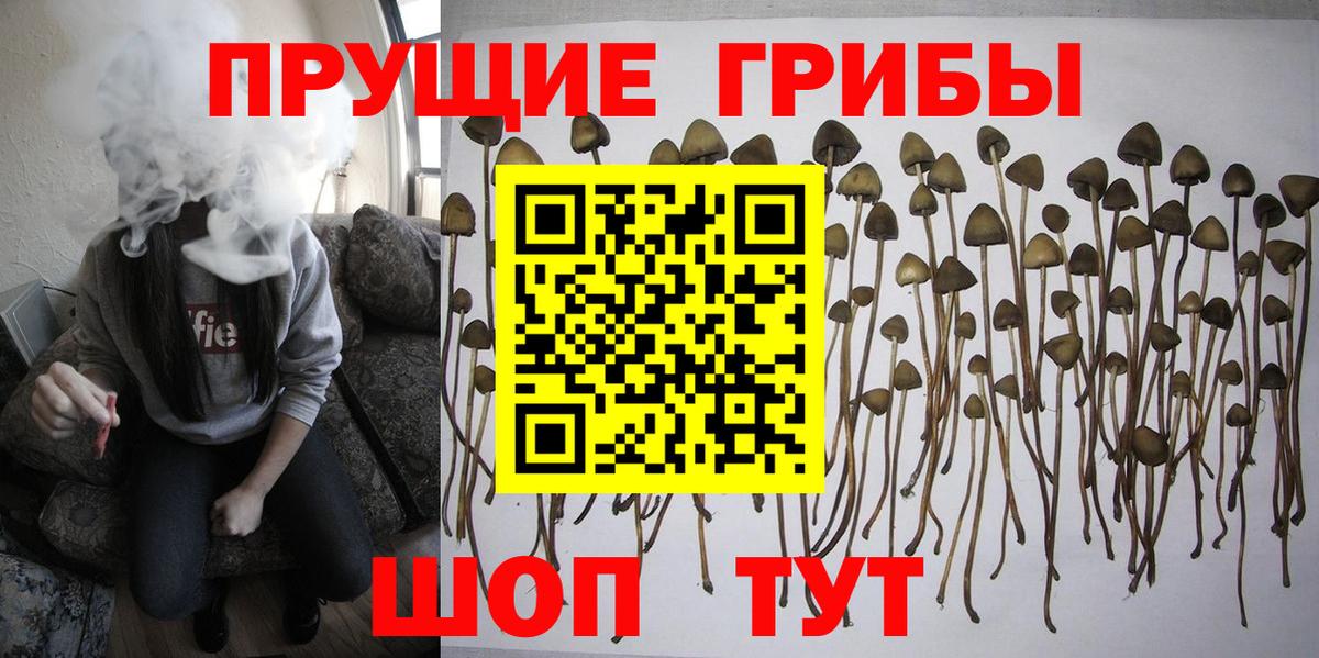 Галлюциногенные грибы прущие грибы Ессентуки
