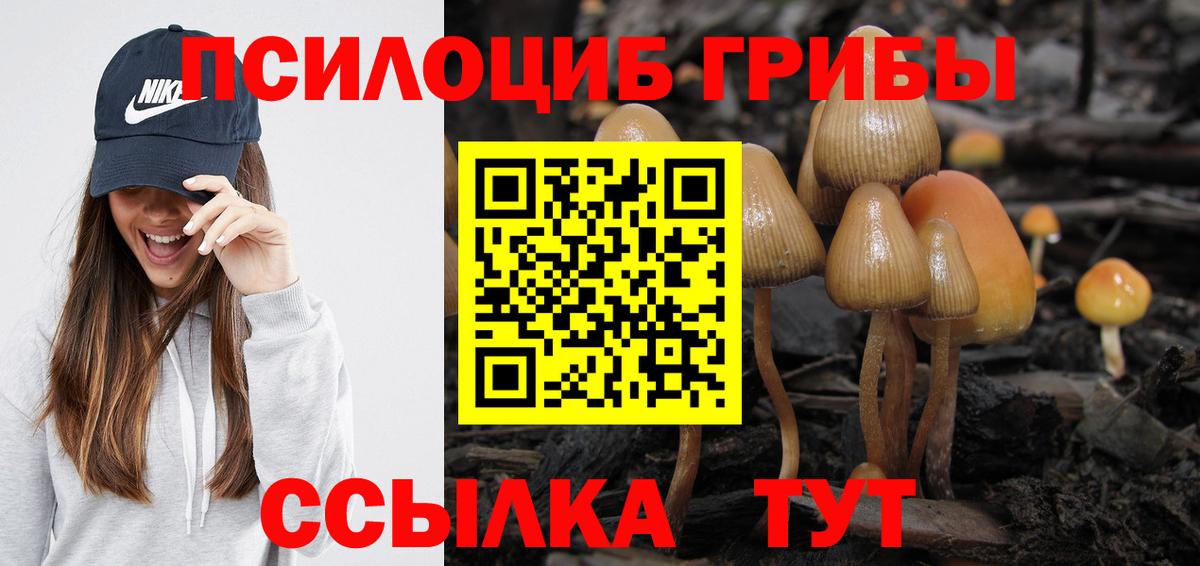 Галлюциногенные грибы Cubensis  купить наркотик  Ессентуки  Вход с VPN  Псилоцибиновые грибы GOLDEN TEACHER 